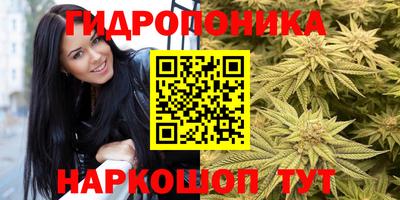 spice Будённовск