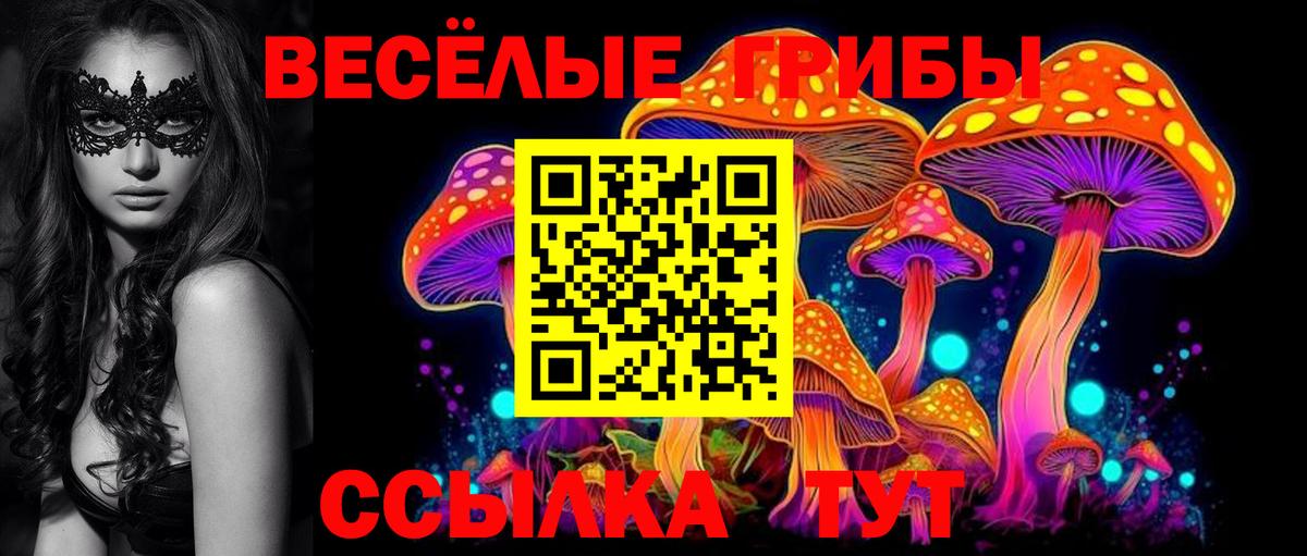 Псилоцибиновые грибы прущие грибы Осинники