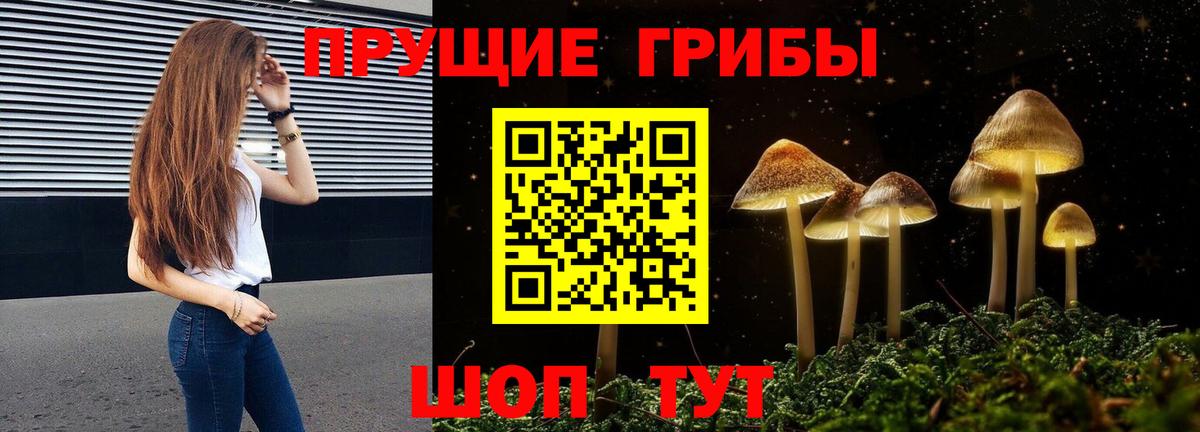 Осинники  Псилоцибиновые грибы GOLDEN TEACHER  купить  цена  Вход с VPN 